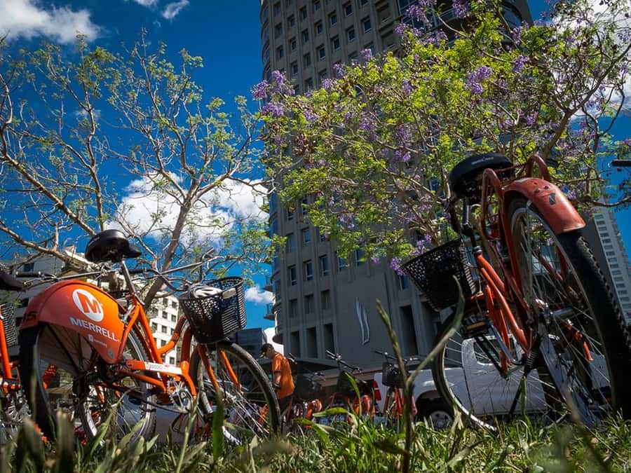 Buenos Aires Bike Tour: South or North Circuit - Key Decision: South Circuit vs North Circuit