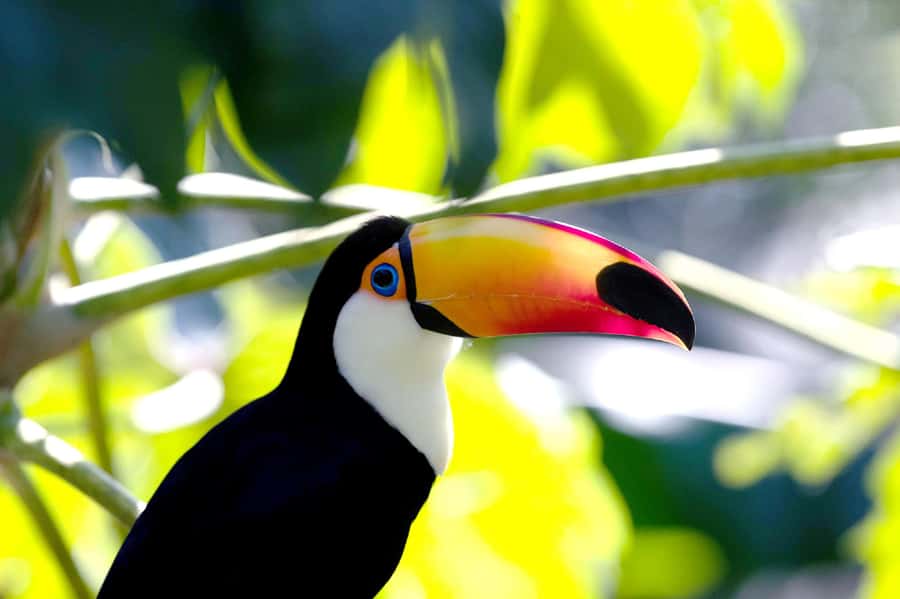 Buenos Aires: Bioparque Temaiken with Transfers - The 360º cinema: a different way to experience the park