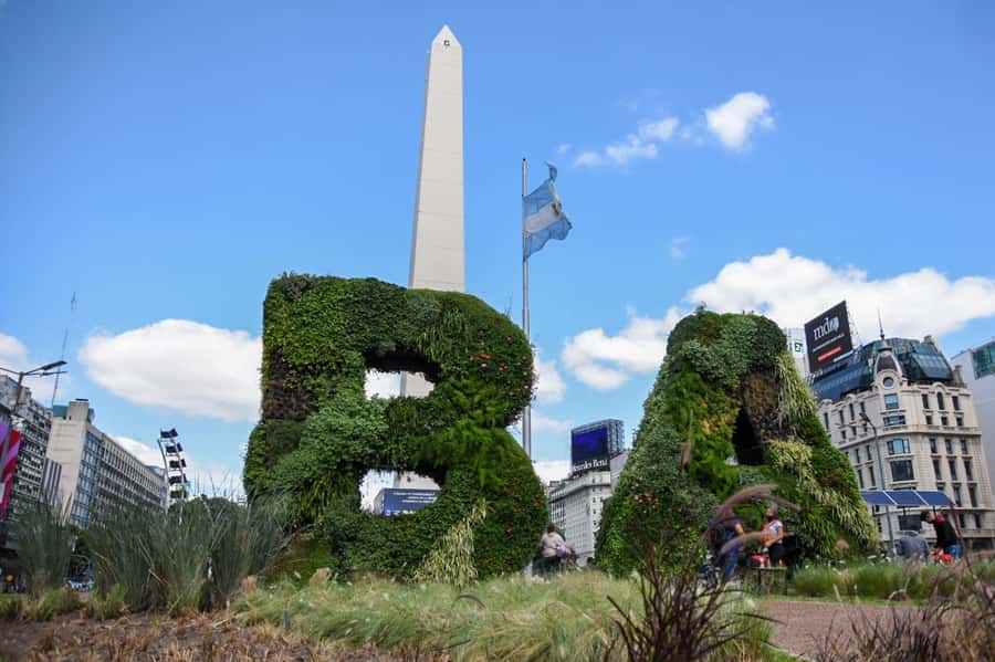 Buenos Aires Private City Tour with a local guide - Getting oriented fast: pickup, comfort, and a real local lead
