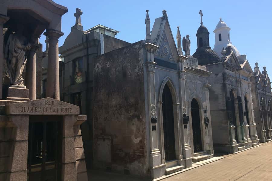 Buenos Aires Private Half-Day City Tour - Palermo and Recoleta: Where the City Gets Classy (And a Cemetery Visit Makes Sense)