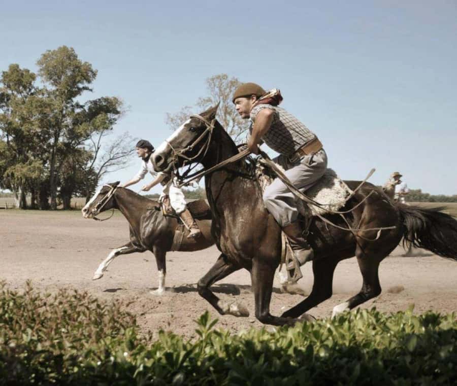 Buenos Aires: Santa Susana Ranch Day Tour, BBQ & Shows - Gaucho Country at Estancia Santa Susana