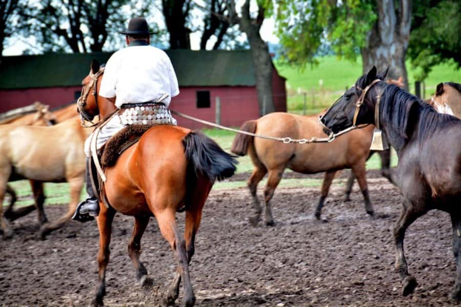 Buenos Aires: Santa Susana Ranch Day Tour, BBQ & Shows - Antique Carriages, Sulkies, and the Pace of Rural Life