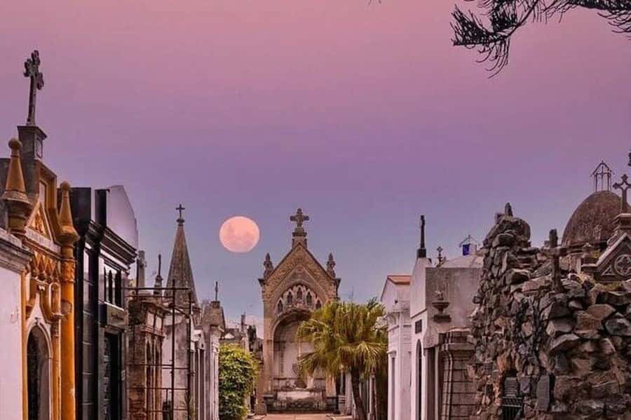 Buenos Aires: Small Group City Highlights Tour - Caminito in La Boca: Where the Tour Becomes a Walk