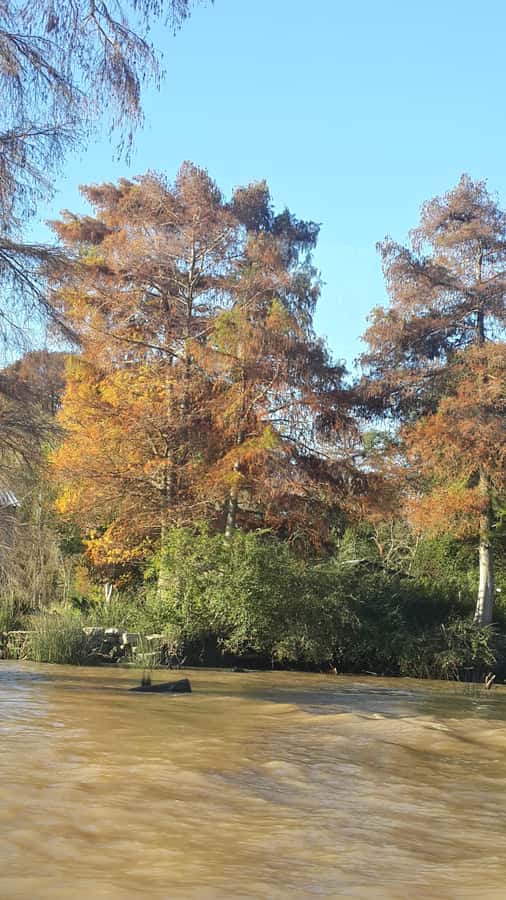 Buenos Aires: Ticket - Classic Delta of Tigre Boat Tour - The Boat Experience: Comfort, Air, and Clear Narration