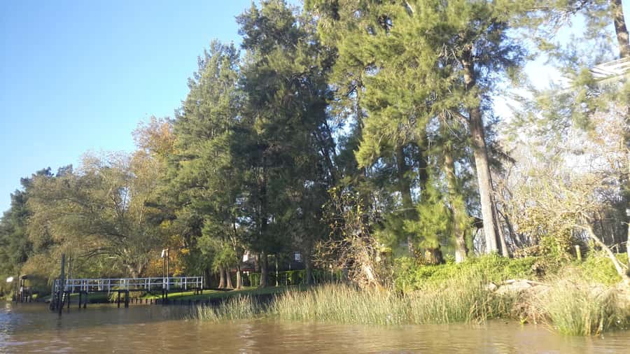 Buenos Aires: Ticket - Classic Delta of Tigre Boat Tour - Best Time to Go and How to Slot It Into a Buenos Aires Day