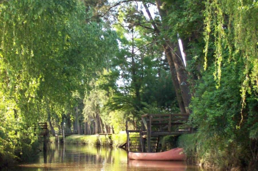 Buenos Aires: Ticket - Classic Delta of Tigre Boat Tour - From Tigre Fluvial Port to the 5 Rivers Cruise
