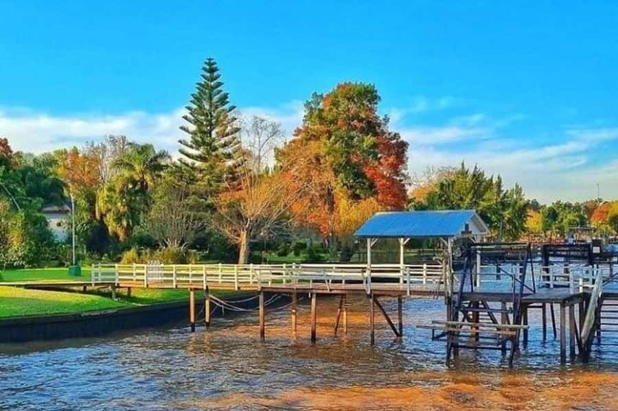 Buenos Aires: Tigre Delta Half-Day Tour with Navigation - Museum of Tigre Art: the photo stop you’ll actually appreciate