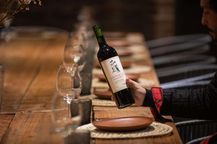 Buenos Aires: Wine Tasting and Lunch at Bodega Gamboa - Key Things That Make This Wine Day Work