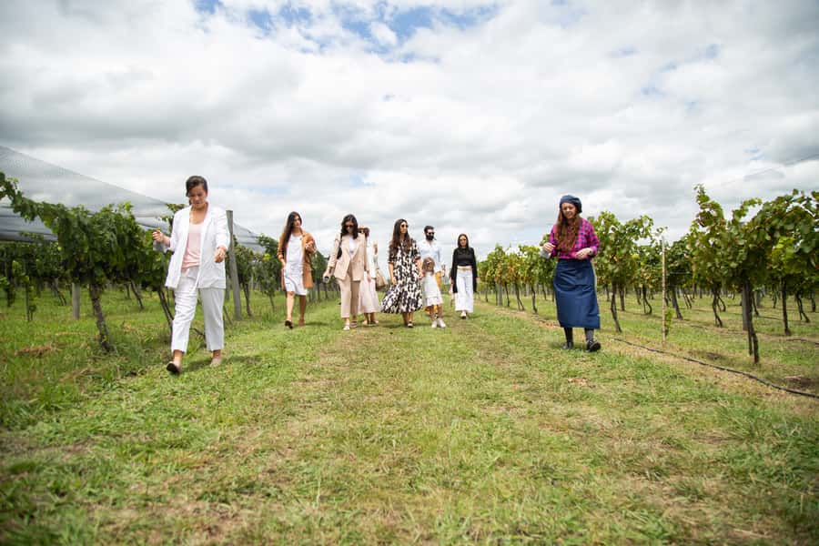 Buenos Aires: Wine Tasting and Lunch at Bodega Gamboa - Price and Value: Is $169 Worth It?