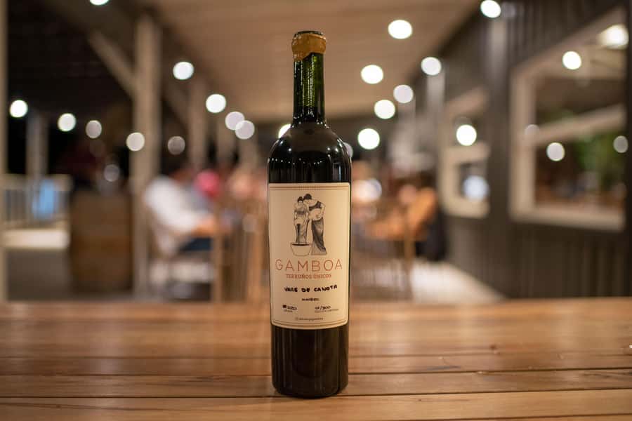 Buenos Aires: Wine Tasting and Lunch at Bodega Gamboa - Quick Planning Tips for Your Day