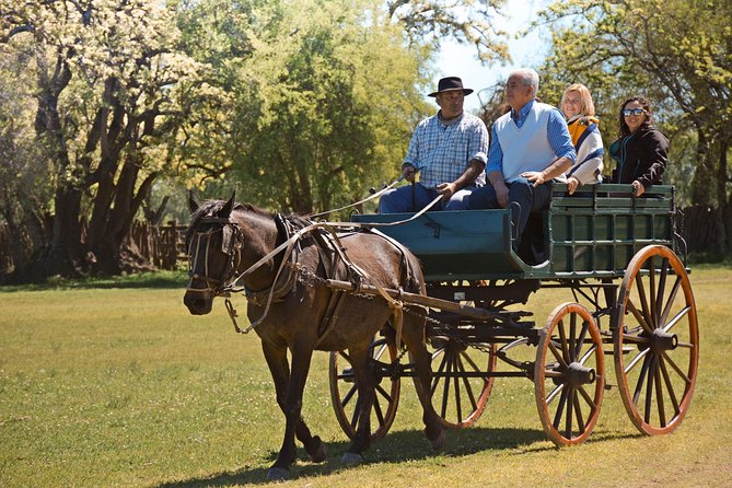 Estancia Gaucho Day at Buenos Aires - Arriving at the estancia: welcome, lunch, and the real show setup