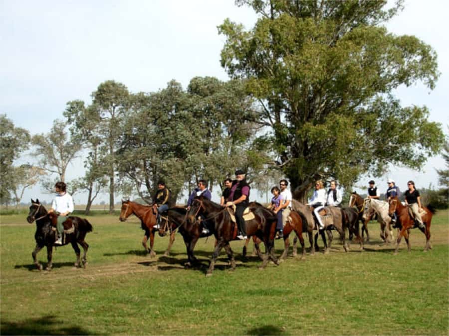 From Buenos Aires: Estancia Don Silvano Tour with Lunch. - Key points