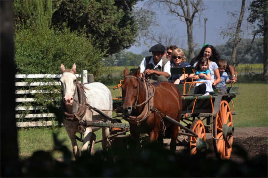 From Buenos Aires: Estancia Don Silvano Tour with Lunch. - Estancia Don Silvano’s story: Italian roots on pampas land