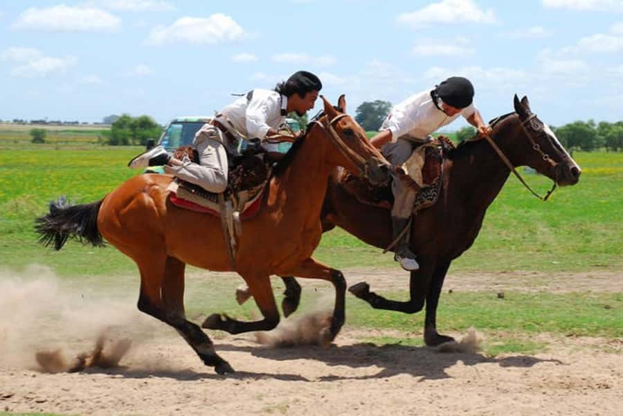 From Buenos Aires: Estancia Don Silvano Tour with Lunch. - Arrival at the estancia: empanadas and a gaucho-friendly welcome