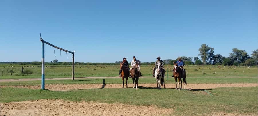 From Buenos Aires: Estancia Don Silvano Tour with Lunch. - The guided estancia visit: what you’ll see and what to expect