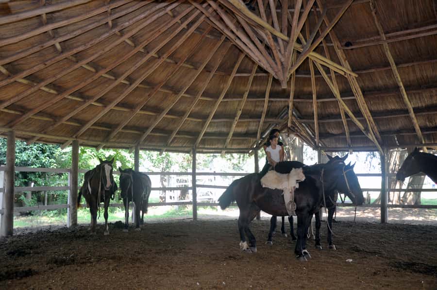 From Buenos Aires: Estancia Don Silvano Tour with Lunch. - Final thoughts: should you book Estancia Don Silvano?