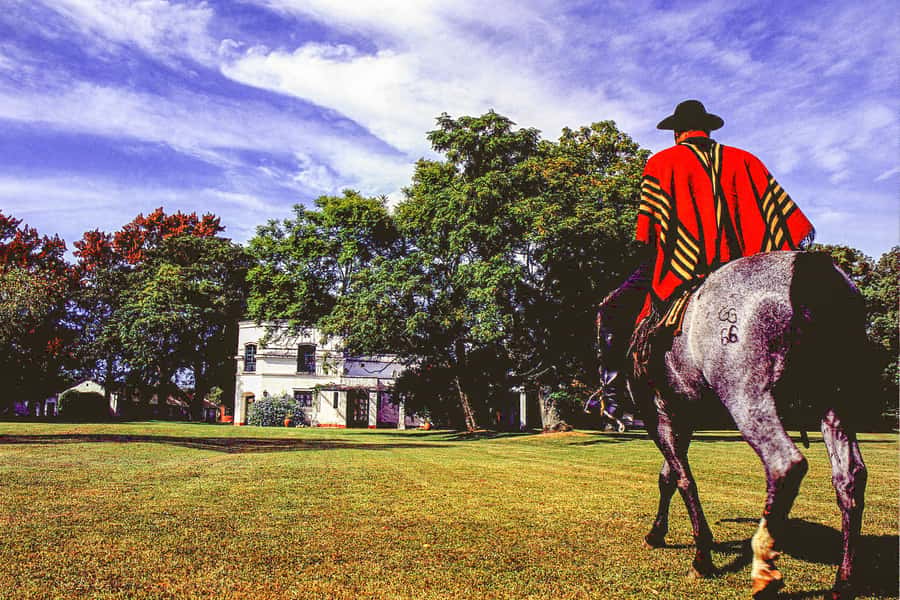 From Buenos Aires: Gaucho and Ranch Day Tour - Key highlights to know before you go