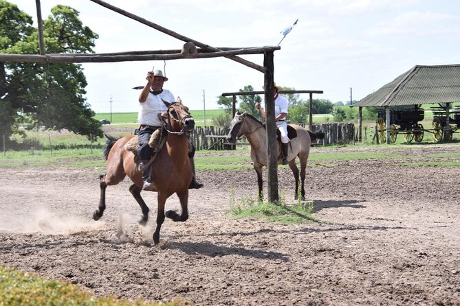 Gaucho Day Trip from Buenos Aires: Santa Susana Ranch - Buenos Aires To the Pampas: The Drive That Makes It Feel Like a Real Escape