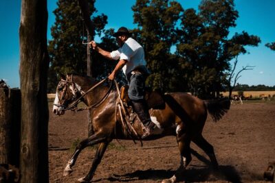 Gaucho Day Trip from Buenos Aires: Santa Susana Ranch - Ranch Grounds, Chapel, Museum, and the Chance to Ride (or Roll) Through the Land