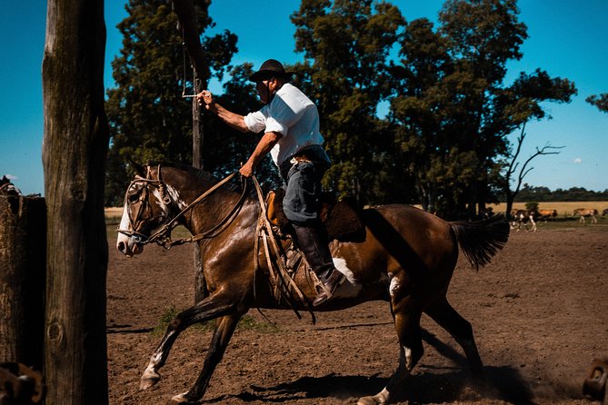 Gaucho Day Trip from Buenos Aires: Santa Susana Ranch - Ranch Grounds, Chapel, Museum, and the Chance to Ride (or Roll) Through the Land
