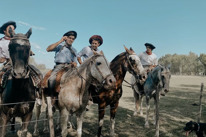 Gaucho Experience: A Day Trip to Don Silvano Ranch - Horseback riding and gaucho handling: tame mounts, short trail time, and optional rides