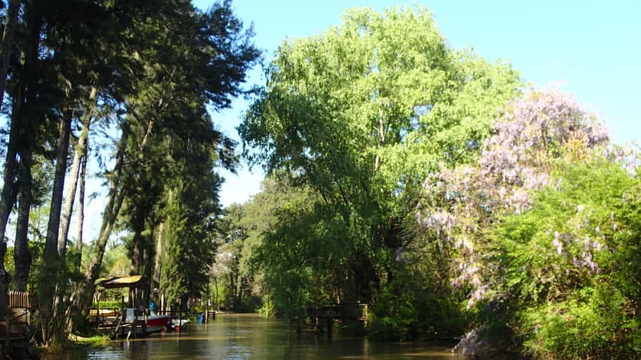Navigation in Delta of Tigre - Exclusive semi private tour - Small-group control: up to 4 people, and tailored pacing