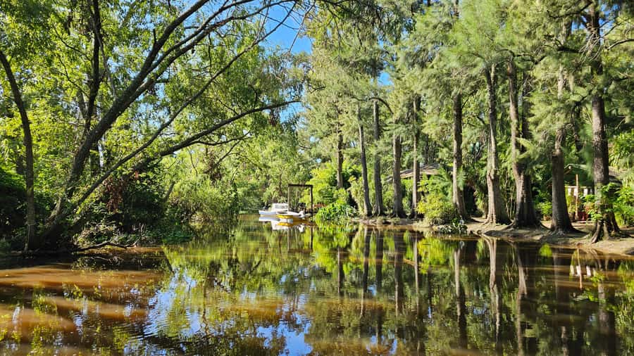 Navigation in Delta of Tigre - Exclusive semi private tour - Door-to-door timing: 5 hours total, with a 9:00 pickup