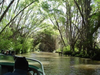 Navigation in Delta of Tigre - Exclusive semi private tour - Meet Enrique and the local running the boat