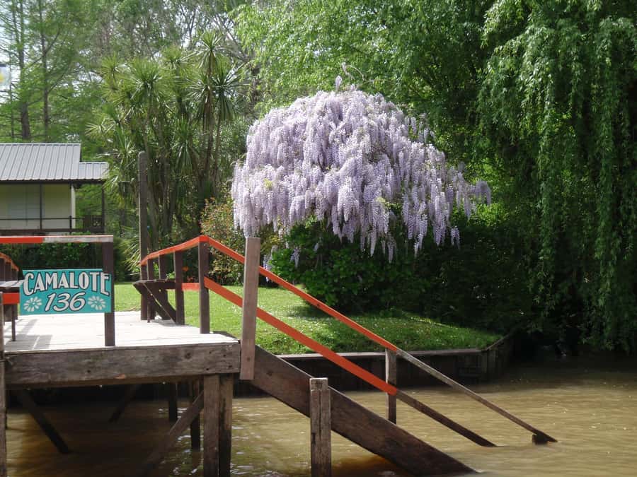 Navigation in Delta of Tigre - Exclusive semi private tour - The drive to Tigre: short scenic views, big expectation payoff