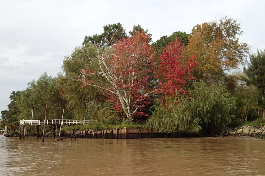 Navigation in Delta of Tigre - Exclusive semi private tour - Summer option: swimming in the rivers and streams