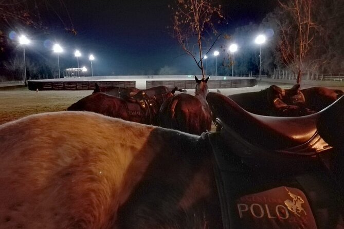 Polo Under the Stars and Argentine BBQ Evening Venue from Buenos Aires - Key things that make this polo night special