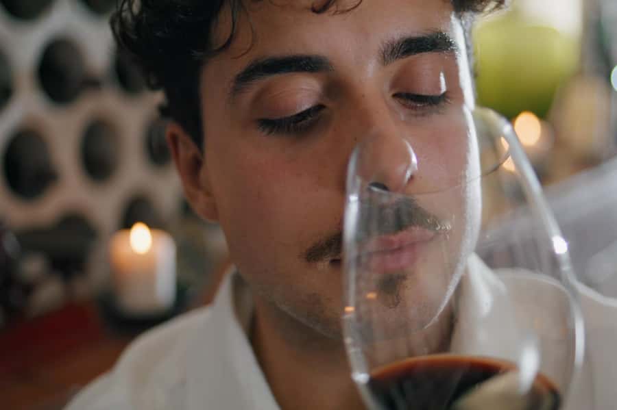 Premium Argentinian Wines and Malbec Tasting Experience - The food pairing: typical appetizer plus cheese (and often salami)