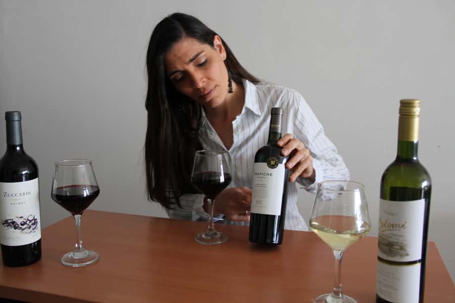Premium Argentinian Wines and Malbec Tasting Experience - Drinks, guides, and language options (what you can expect from the host)