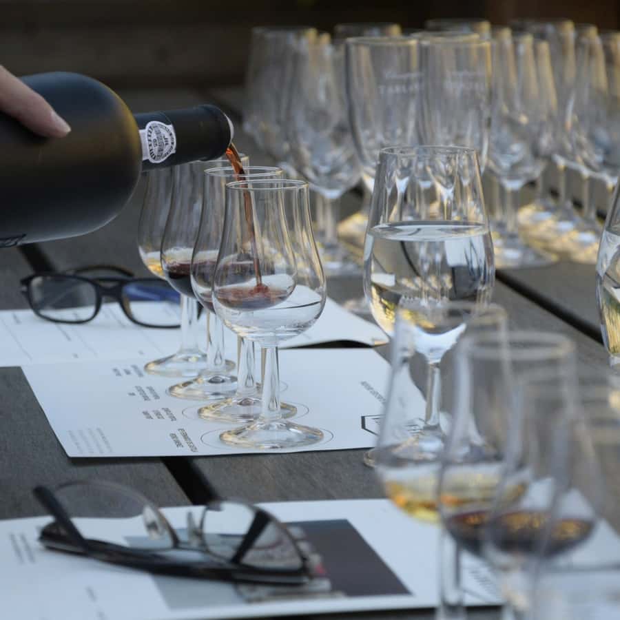 Premium Empanadas Cooking Class & Wine Tasting Experience - Price and value: what $49 buys you in real travel terms