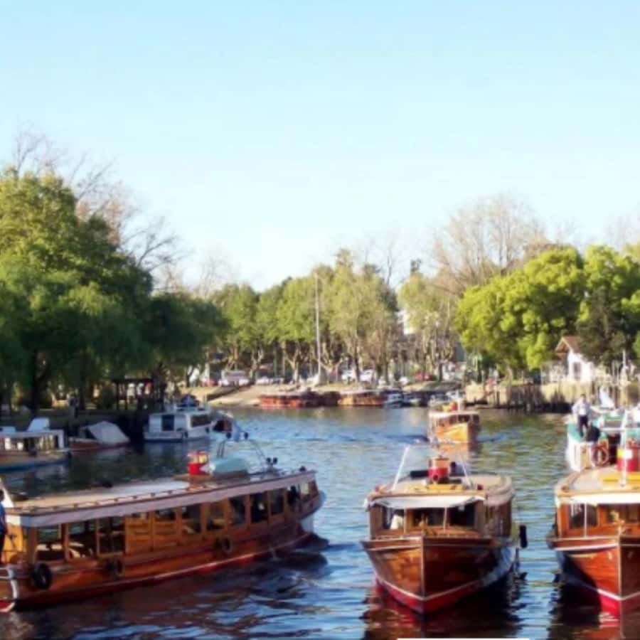 Private City Tour of Buenos Aires + Tigre Delta - Puerto de Frutos: Handicrafts, Souvenirs, and a Bit of Breathing Room