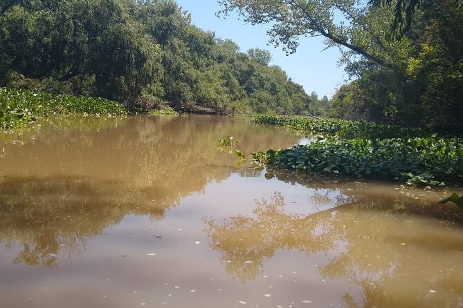 Safari náutico en tigre - Getting Out on the Water from Buenos Aires Without Fuss