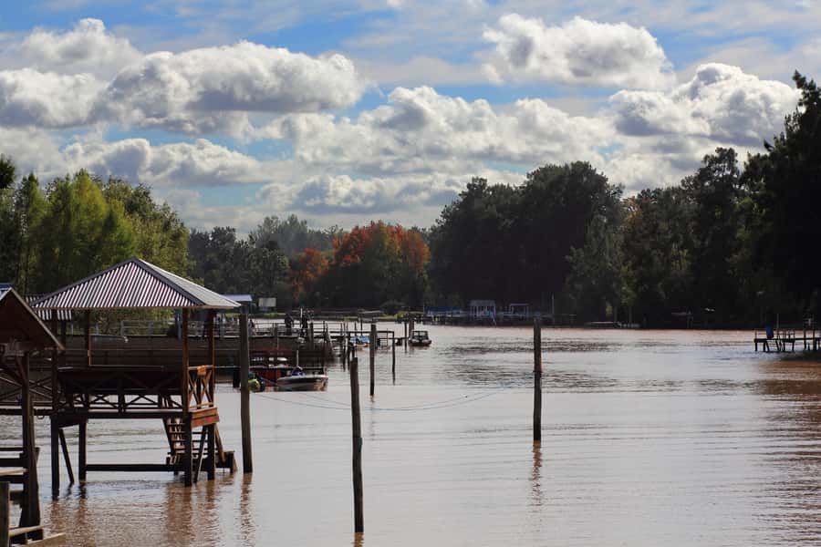 Tigre: River Delta Panoramic Boat Tour - Where Tigre Starts: Dockside Reality Check at the Fluvial Station