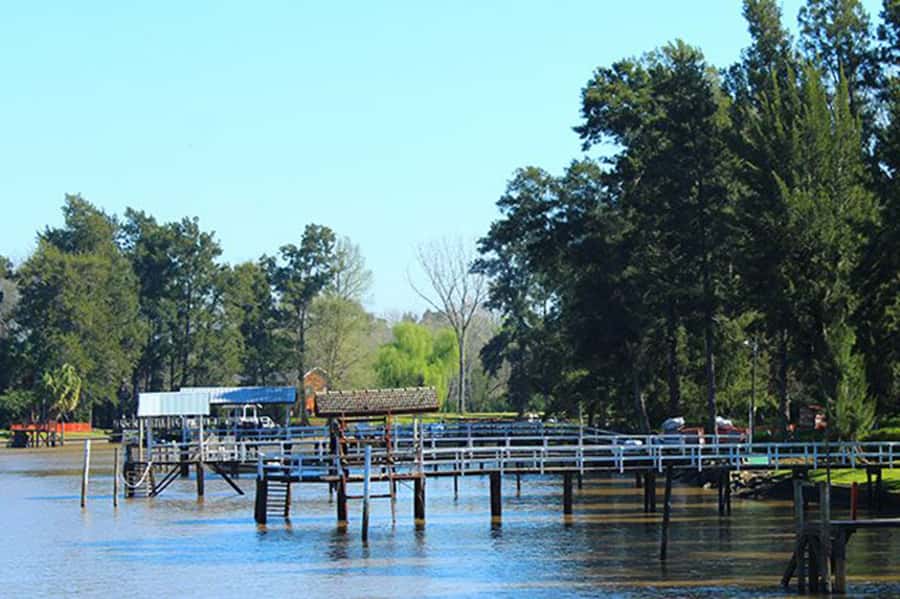 Tigre: River Delta Panoramic Boat Tour - Who This Tour Fits Best (And Who Might Want Something Else)