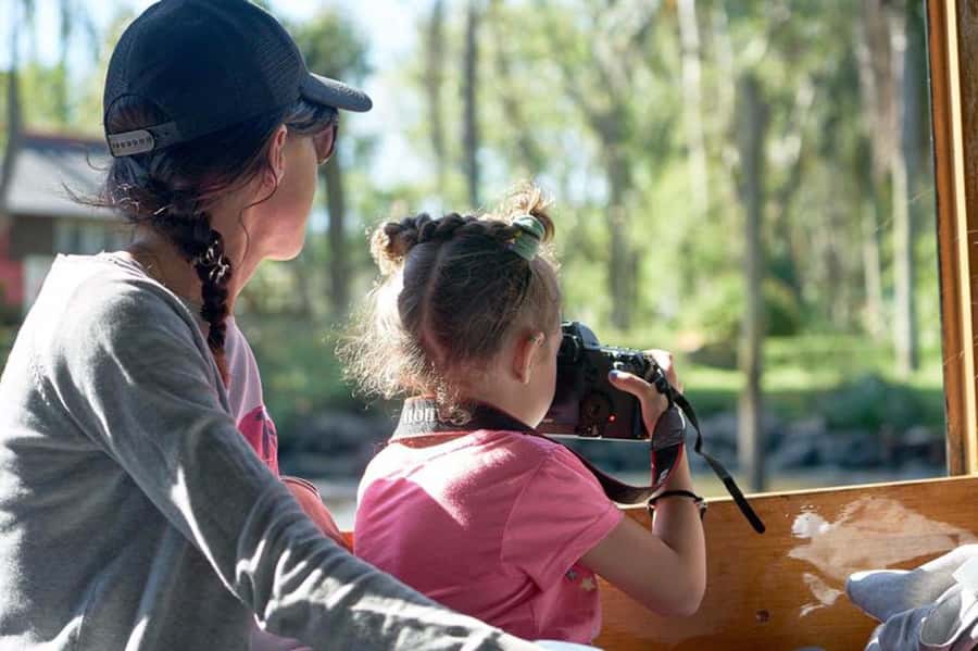 Tigre: River Delta Panoramic Boat Tour - The 1-Hour Cruise Through Five Named Rivers