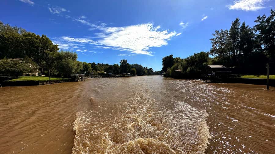 Unique Tigre and Delta Private Day Cruise Navegation - Guides on the water: the difference between facts and stories